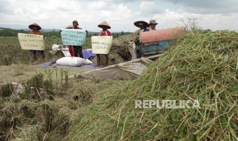 Sejumlah petani dan anggota Persatuan Penggilingan Padi (Perpadi) DPC Kabupaten Purbalingga melakukan aksi menolak rencana impor beras di Desa Brobot, Bojongsari, Purbalingga, Jateng, Selasa (23/03/2021). Perpadi Purbalingga mengkhawatirkan rencana impor beras akan semakin menekan harga gabah kering panen yang saat ini turun dari Rp4.300 menjadi Rp3.500 per kilogram akibat rendahnya penyerapan yang berbarengan dengan panen raya pada bulan maret ini. 