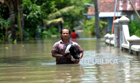 Warga menyelamatkan ternak kambing di Kedungrejo, Desa Kedungmulyo, Butuh, Purworejo, Jawa Tengah, Rabu (16/3/2022). Desa Kedungmulyo terendam banjir sejak Selasa (12/3/2022) sore imbas hujan deras semalaman. Akibatnya sekitar 140 warga harus mengungsi di Balai Desa Kedungmulyo. Meskipun daerah ini langganan banjir, banjir kali ini termasuk cukup besar dibandingkan tahun-tahun sebelumnya.