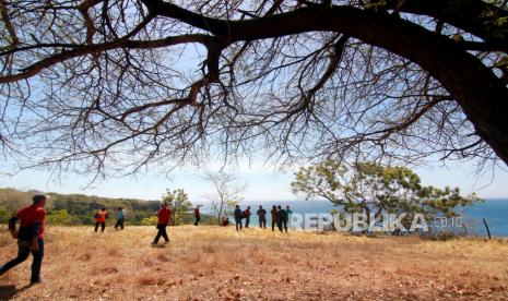 Taman Nasional Baluran, Situbondo, Jawa Timur.