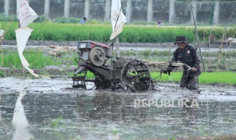 Petani membajak sawah menggunakan traktor untuk mengawali musim tanam padi yang baru setelah panen kemarin, di kawasan Soekarno Hatta, Kota Bandung, Senin (15/3). Banyak petani berharap pemerintah mengkaji ulang atau mempertimbangkan rencana impor beras di awal tahun ini, dikhawatirkan akan membuat harga gabah ditingkat petani anjlok.