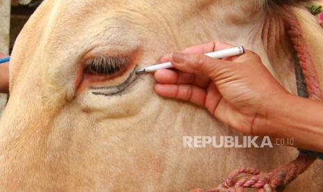 Masjid Agung Ngawi Batalkan Penyembelihan Hewan Qurban