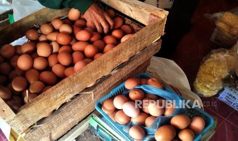 Pembeli memilih telur ayam ras di agen penjual telur Ngasem, Yogyakarta, Senin (12/12/2022). Harga telur ayam ras di tingkat agen turun sedikit menjadi Rp 28.500 per kilogram dibanding pekan lalu di kisaran Rp 30 ribu per kilogram. Sedangkan di tingkat pedagang eceran harga telur ayam ras sempat mencapai Rp 32 ribu per kilogram. Tingginya permintaan terlur ayam ras jelang libur Nataru menjadi alasan pedagang menaikkan harga.