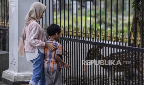 Anak-anak melihat rusa di Jalan Ir. Haji Juanda, Kota Bogor, Jawa Barat, Senin (23/1/2023). Keberadaan rusa yang berada di Halaman Istana Bogor tersebut menjadi daya tarik wisatawan yang ingin mengisi hari libur bersama keluarga dengan melihat dan memberi makan rusa.