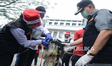 Wali Kota Bandung Oded M Danial melihat cara pemeriksaan hewan kurban pada seekor domba usai Apel Pelepasan Satuan Tugas Pemerikasa Hewan Kurban Tahun 2020, di Plaza Balai Kota Bandung. Menjelang Idul Adha 1441 H, para petugas pemeriksa hewan kurban dari Dinas Pangan dan Pertanian (Dispangtan), akan disebar ke berbagai wilayah untuk memastikan kelayakan dan kesehatan hewan kurban dengan penerapan protokol kesehatan pencegahan Covid-19 secara ketat.