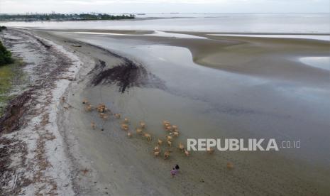 Lokasi wisata pantait tidak lagi dikunjungi wisatawan disebabkan air laut berubah menjadi kemerahan akibat tercemar limbah pertambangan. (Ilustrasi)