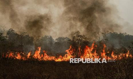 terkait-kabut-asap-singapura-siapkan-sanksi-bagi-perusahaan-indonesia