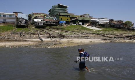 Hutan hujan Amazon di Brasil berkutat dengan kekeringan yang akut. 