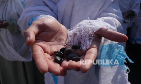  Situasi Lengang, Jamaah Bisa Lontar Jumrah dengan Nyaman. Foto:  Seorang jamaah calon haji khusus Dari Ramada Arafah Travel memperlihatkan batu yang akan digunakan melempar jumroh pada kediatan Manasik Haji, di Jakarta, Ahad (19/6/2022). Sebanyak 34 jamaah calon haji  ini akan diberangkatkan ke tanah Suci Mekkah pada 2 Juli 2022 mendatang. Foto: Darmawan/Republika. 