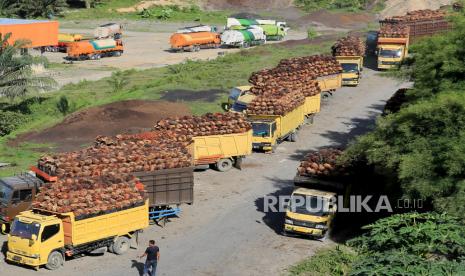 Sejumlah truk pengangkut Tanda Buah Segar (TBS) sawit mengantre untuk pembongkaran di salah satu pabrik minyak sawit di Aceh Barat, Aceh, Selasa (17/5/2022).