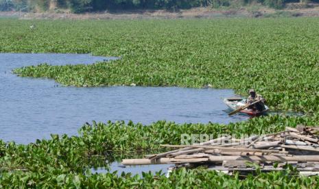 Petugas gabungan di Kecamatan Cilincing membersihkan eceng gondok yang memenuhi saluran air penghubung (phb) di Ujung Aspal, Kelurahan Rorotan, Cilincing, Jakarta Utara. Sebanyak 60 meter kubik eceng gondok berhasil diangkat dalam dua hari.