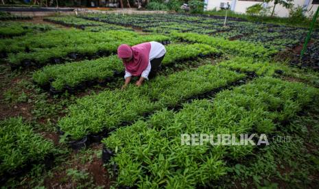 Badan Pusat Statistik (BPS) menyatakan, Nilai Tukar Petani (NTP) November 2020  secara nasional naik 0,58 persen dibandingkan NTP September 2020, yakni dari 101,66 menjadi 102,25. 