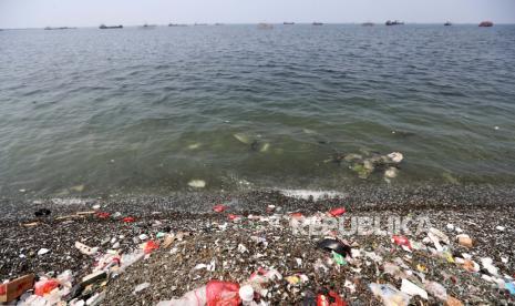 Sampah berserakan di Pantai Cilincing, Jakarta, Indonesia, 15 Oktober 2021. Badan Riset dan Inovasi Nasional (BRIN) Indonesia dan University of Brighton Inggris setelah mengambil sampel air laut antara 2017 dan 2018, menyatakan bahwa perairan Teluk Jakarta mengandung tinggi kadar parasetamol, yang memicu kekhawatiran akan dampaknya terhadap ekosistem kehidupan laut.