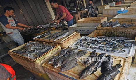 Ikan segar (ilustrasi). Pakar mengatakan jeroan pada ikan banyak mengandung protein dan lemak tak jenuh. 