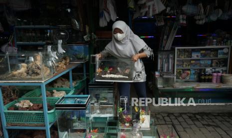 Pedagang ikan hias bersiap menutup kiosnya di Pasar Aneka Tanaman Hias Yogyakarta (PASTHY), Yogyakarta, Senin (9/8/2021). Pemkot Yogyakarta membatasi jam operasional Pasthy mulai dari pukul 06.00 hingga 15.00 wib selama masa PPKM guna menekan penyebaran COVID-19 di Yogyakarta. 