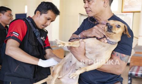 Pemkot Kupang Minta Hewan Peliharaan Dikandangkan Cegah Rabies