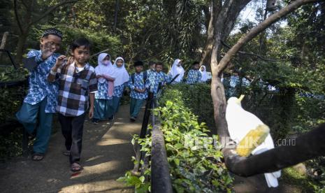 Pengunjung melihat burung kakatua di kandang Bandung Zoo, Kota Bandung, Jawa Barat, Ahad (11/6/2023). Pemerintah Kota Bandung akan mengambil alih dan menyegel lahan kebun binatang bandung atau Bandung Zoo karena pengelola yaitu Yayasan Margasatwa Tamansari dianggap belum membayar uang sewa tanah. Meski demikian, pihak pengelola Bandung Zoo masih menunggu hasil putusan yang inkracht atau berkekuatan hukum tetap di Mahkamah Agung.