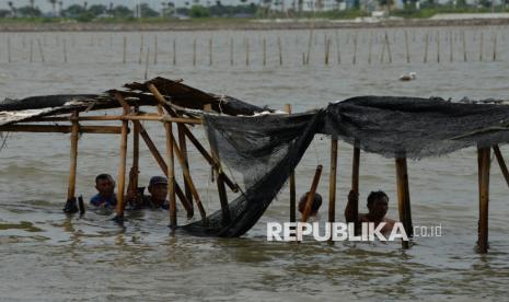 Personil TNI AL bersama warga membongkar pagar laut di Perairan Tanjung Pasir, Kabupaten Tangerang, Banten, Sabtu (18/1/2025). TNI Angkatan Laut bersama dengan nelayan membongkar pagar laut misterius sepanjang 30,16 km di Kabupaten Tangerang, secara manual. Pembongkaran pagar laut dipimpin langsung oleh Komandan Pangkalan Utama AL (Danlantamal) III Jakarta Brigadir Jenderal (Mar) Harry Indarto.