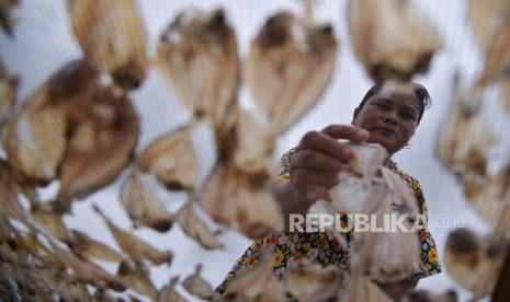 Pekerja menjemur ikan asin di kawasan pemukiman nelayan Bagan Deli, Belawan, Kota Medan, Sumatera Utara.  PT Bank Rakyat Indonesia (Persero) Tbk mencatat penyaluran kredit usaha rakyat (KUR) sebesar Rp 8 triliun pada Agustus 2022. Adapun pinjaman KUR dimulai dari Rp 25 juta sampai Rp 250 juta. 