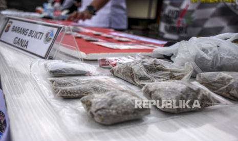 Petugas kepolisian menata sejumlah ganja kering (ilustrasi). Satuan Reserse Narkoba (Satnarkoba) Polres Sukabumi Kota menangkap AA (22) yang merupakan buronan kasus peredaran ganja dan obat keras.