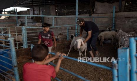 Anak-anak berdiri di samping ternak di sebuah gudang kamp pengungsi Khan Yunis, Jalur Gaza Selatan, 14 Juni 2024. Di tengah konflik Israel-Palestina yang sedang berlangsung, kenaikan dan tingginya harga ternak mempersulit masyarakat di Gaza untuk membeli hewan kurban pada Idul Adha. 