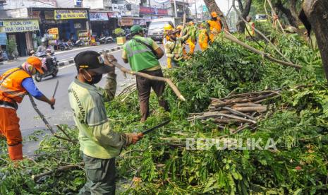 Sejumlah petugas Dinas Kehutanan bersama PPSU (Petugas Penanganan Prasarana dan Sarana Umum) memotong ranting pohon di jalan Rs Soekamto, Duren Sawit, Jakarta Timur, Sabtu (12/9/2020). Pemangkasan pohon tersebut untuk mencegah pohon tumbang dan merapikan bagian ranting pohon yang menutupi rambu-rambu lalu lintas di wilayah tersebut.