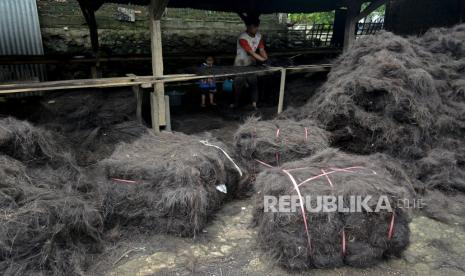 Cuaca Panas Disebut Jadi Penyebab Kebakaran Ijuk di Waterfront. Foto:  Serat Ijuk (Ilustrasi).