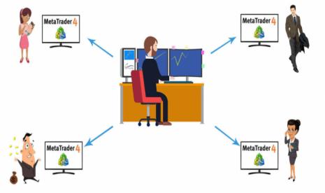 Mengapa Banyak Investor Forex Menggunakan Copy Trade?