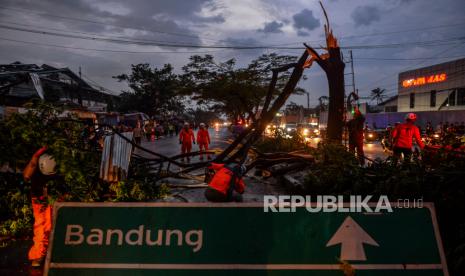 Petugas BPBD, Basarnas dan Dinas Pemadam Kebakaran mengevakuasi pohon tumbang pascaputing beliung di Jalan Nasional Bandung Garut di Rancaekek, Kabupaten Bandung, Jawa Barat, Rabu (21/2/2024).