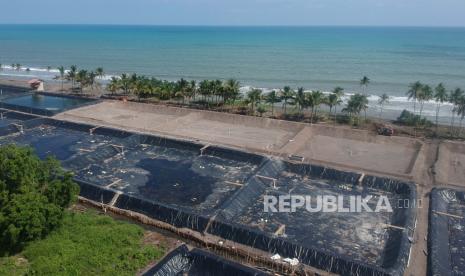 Foto udara, alat berat bekerja membuka tambak udang baru, di Ulakan, Kab.Padangpariaman, Sumatera Barat, Selasa (21/7/2020). Tambak udang di daerah itu dibuka di atas lahan mangrove jenis nipah yang jaraknya tidak jauh dari tepi pantai. ANTARA FOTO/Iggoy el Fitra/hp.