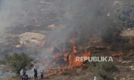 Petani Palestina memadamkan api di kebun zaitun, yang disebabkan oleh tabung gas air mata polisi Israel, yang digunakan untuk membubarkan warga Palestina yang mencoba mencapai kebun mereka, di desa Burqa Tepi Barat, Timur Ramallah, Jumat, 16 Oktober 2020. Aktivis Rabbis for Human Rights diserang pemukim Yahudi saat bantu warga Palestina tanam zaitun di Burin, dekat Nablus di Tepi Barat utara, Jumat (21/1/2022).