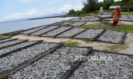 Pekerja dari kalangan istri nelayan menjemur ikan asin olahan di salah satu Industri Kecil dan Menengah (IKM) Desa Layeun, Kecamatan Leupung, Kabupaten Aceh Besar, Aceh, Ahad (19/4/2020). Pelaku usaha ikan asin olahan di daerah itu menyatakan produksi ikan asin meningkat hingga 50 persen seiring dengan melimpahnya hasil tangkapan nelayan dengan harga penjualan mencapai Rp30