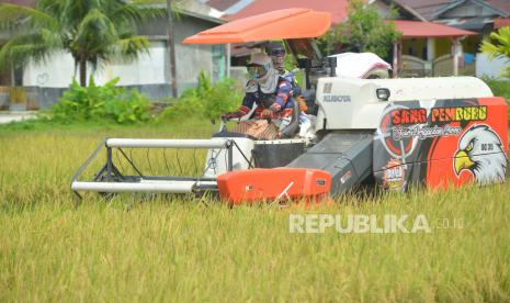 Operator menjalankan mesin panen padi di areal pesawahan Sungai Lareh, Padang, Sumatra Barat, Selasa (22/2/2022). Dinas Pertanian Kota Padang, Sumatra Barat, mencatat, produksi beras di kota setempat dalam setahun hanya mampu mencukupi 30 persen kebutuhan masyarakat sehingga ini menjadi langkah prioritas dalam mengoptimalkan produksi beras.