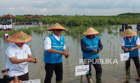 Sinergi PLN dengan Pemerintah Provinsi (Pemprov) Jawa Tengah dalam memperkuat ekosistem dan daya dukung lingkungan pesisir dimulai dari Rembang, Jawa Tengah. 