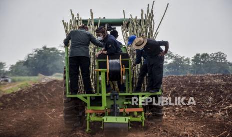 Menteri Pertanian Syahrul Yasin Limpo (kedua kiri) menaiki traktor penanam tebu saat kunjungan kerja di Desa Pasirbungur, Kecamatan Purwadadi, Kabupaten Subang, Jumat (29/7/2022). Pemerintah telah menetapkan kuota impor gula kristal putih (GKP) khusus untuk kebutuhan konsumsi rumah tangga pada tahun depan sebanyak 991 ribu ton. 