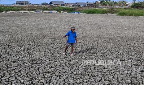 Seorang warga memeriksa kondisi tambak ikan yang mengering di Tanjung Kait, Mauk, Kabupaten Tangerang, Banten, Selasa (17/10/2023). 