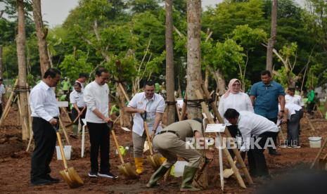 Presiden Joko Widodo bersama Menteri Pertanian Andi Amran Sulaiman (kiri), Plt Gubernur DKI Jakarta Heru Budi Hartono (keempat kiri), Plh Direktur Utama PT Jakarta Industrial Estate Pulogadung Dharma Satriadi (ketiga kiri) melakukan seremoni penanaman pohon di Hutan Kota Kawasan Industri Pulo Gadung, Jakarta Timur, Rabu (29/11/2023). Penanaman sekitar 2000 pohon yang dilakukan  serentak di wilayah Jakarta, Bogor, Depok, Tangerang dan Bekasi ini merupakan komitmen pemerintah dalam upaya pemulihan lingkungan dan penanganan polusi udara.