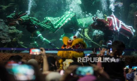 Penyelam mengenakan kostum barongsai beraksi dalam pertunjukan bertajuk Ancol Lunar Festival di Sea World Ancol Taman Impian, Jakarta Utara, Kamis (8/2/2024). Sea World Ancol yang menampilkan berbagai macam koleksi ikan tersebut menjadi salah satu destinasi wisata edukatif favorit yang dikunjungi warga. Pada musim libur panjang atau long weekend pada 8-11 Februari 2024, pengunjung juga dapat menyaksikan atraksi barongsai dalam air yang digelar untuk menyambut Tahun Baru Imlek 2575 Kongzili.