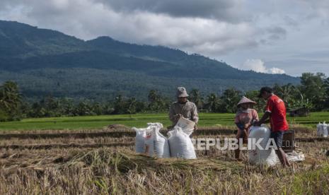 Petani memanen padi (ilustrasi). Konsumsi pangan di Parigi, Sulteng, mencapai 56 ribu ton per tahun.