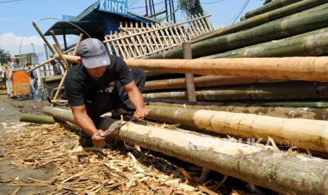 Pedagang menyerut kulit pohon pinang untuk lomba panjat pinang.