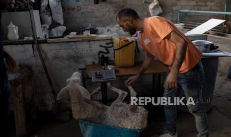  Seorang pria Palestina sedang menimbang seekor domba di sebuah kandang di kamp pengungsi Khan Yunis, Jalur Gaza selatan, 14 Juni 2024. Di tengah konflik Israel-Palestina yang sedang berlangsung, kenaikan dan tingginya harga ternak mempersulit masyarakat di Gaza untuk membeli hewan kurban pada Idul Adha. 