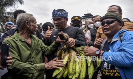 Gubernur Jawa Barat Ridwan Kamil (kedua kiri) menerima hasil pertanian dari perwakilan petani saat aksi Hari Tani Nasional di depan Gedung Sate, Jalan Diponegoro, Kota Bandung, Senin (26/9/2022). Dalam aksi yang digelar dalam rangka memperingati Hari Tani Nasional tersebut mereka meminta pemerintah untuk menerbitkan pergub dan perda tentang skema pembiayaan juga penetapan tanah objek reforma agraria dan perhutanan sosial di Jawa Barat, serta memberikan jaminan harga dan pasar kepada petani. Republika/Abdan Syakura