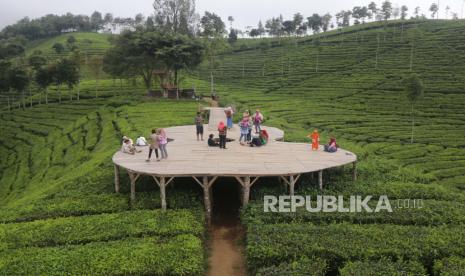 Pengunjung menikmati pemandangan alam di kawasan wisata kebun teh dan candi Sirah Kencong, Desa Ngadirenggo, Blitar, Jawa Timur, Selasa (29/9/2020). Wisata alam kebun teh dan candi di lereng gunung Butak tersebut kembali dibuka setelah ditutup selama lima bulan karena pandemi COVID-19. 