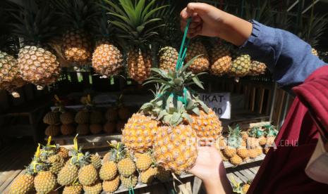 Buah nanas. Nanas perlu direndam dalam air garam sebelum dimakan.