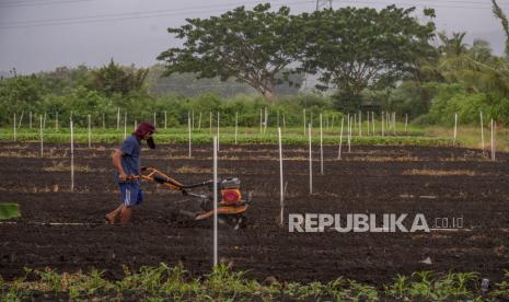 Ilustrasi desa. Jumlah desa berstatus desa mandiri di Kabupaten Kudus, Jawa Tengah, pada 2022 mencapai 25 desa atau meningkat dibandingkan tahun sebelumnya hanya 17 desa.