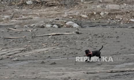 DPR Desak Evaluasi Menyeluruh Pengelolaan Lubang P