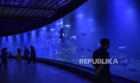 Pengunjung melihat biota laut di Aquarium Indonesia Pangandaran, Kabupaten Pangandaran, Jawa Barat, Sabtu (18/12/2022). Kementerian Kelautan dan Perikanan (KKP) mendirikan akuarium dan museum ibu rempah masa kejayaan Nusantara bertujuan untuk wisata edukasi tentang biota laut. 