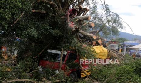 Joko Tingkir Menebang Pohon Beringin Besar, Ki Ageng Selo Bilang Apa?