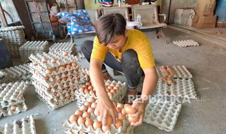 Pekerja sedang menyortir telur ayam di kios agen telur di Pasar Baru Indramayu, Kabupaten Indramayu, Jawa Barat, Rabu (24/5/2023). 