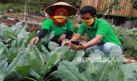 Petani milenial (ilustrasi). Anggota DPR RI Puteri Anetta Komarudin meminta pemerintah memanfaatkan bonus demografi yang dialami Indonesia. Menurutnya, bonus demografi tersebut akan memberikan manfaat bagi Indonesia jika dimanfaatkan dengan baik.