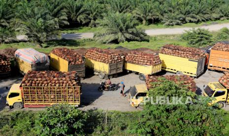 Sejumlah truk pengangkut Tanda Buah Segar (TBS) kelapa sawit mengantre untuk pembongkaran di salah satu pabrik minyak kelapa sawit di Aceh Barat, Aceh, Selasa (17/5/2022).